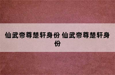 仙武帝尊楚轩身份 仙武帝尊楚轩身份